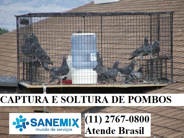 Sanemix